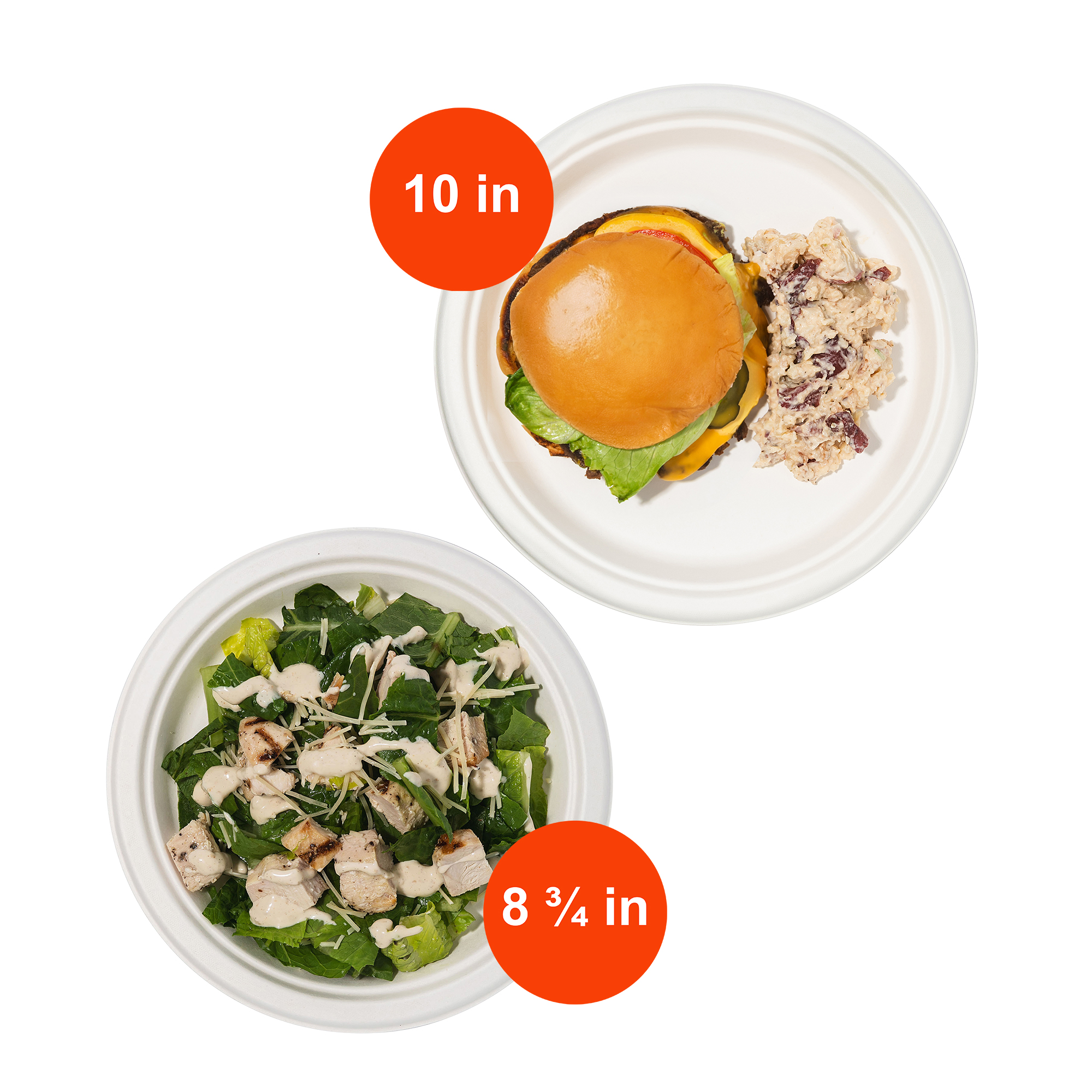 Dimension callout - 10 inch dinner and 8.75 inch lunch plates
