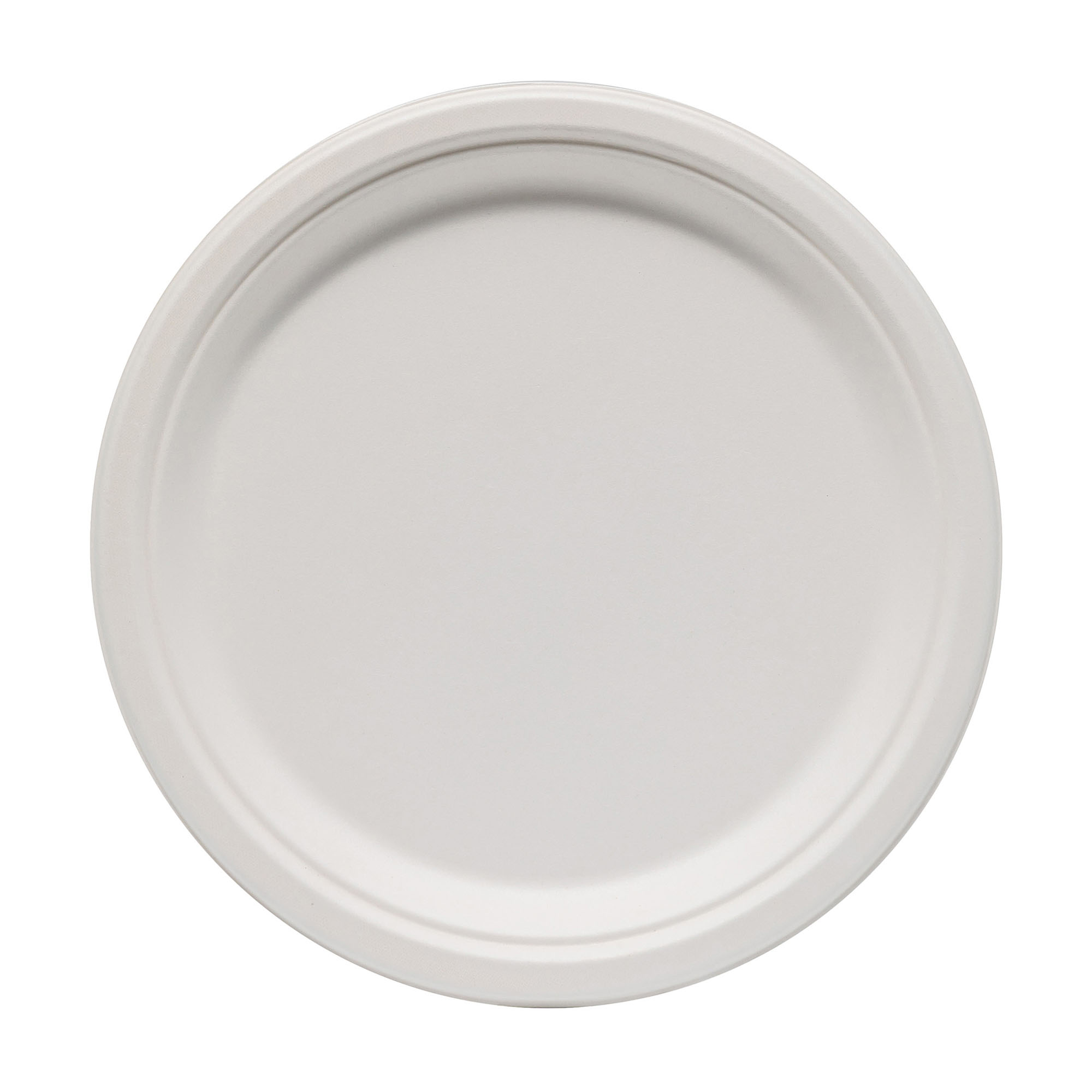 Dinner plate front - Clean top-down view